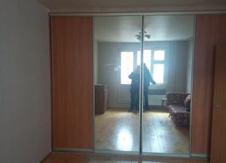 Сдается однокомнатная квартира, 40 м2, деревня Голубое, Родниковая улица, 4