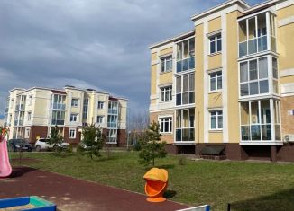 Продажа квартиры студии, 13.5 м2, деревня Ивановское, улица Николинские Ключи, 34