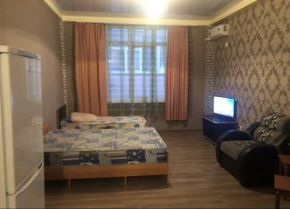 Сдам в аренду квартиру студию, 30 м2, Сочи, улица Надежды, 8, Адлер