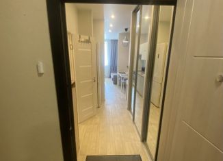 Сдается в аренду квартира студия, 30 м2, Реутов, Юбилейный проспект, 67, ЖК Новокосино-2