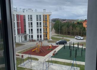 Продается 1-ком. квартира, 41.2 м2, деревня Раёво, Ирландская улица, 4к1