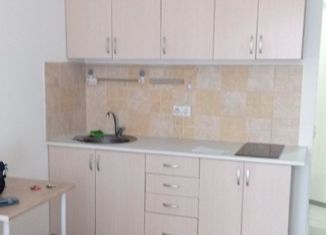 Сдается в аренду квартира студия, 19.6 м2, Котельники, микрорайон Белая Дача, 11к1