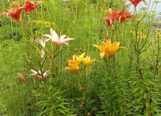 Земельный участок на продажу, 7 сот., поселок Старобачаты, Экскаваторная улица