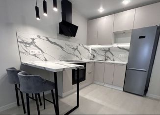 Сдача в аренду 2-комнатной квартиры, 40 м2, Мурино, проспект Авиаторов Балтики, 29к2, ЖК Авиатор