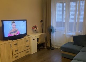 Аренда квартиры студии, 25 м2, Мурино, проспект Авиаторов Балтики, 3к1, ЖК Девятый вал