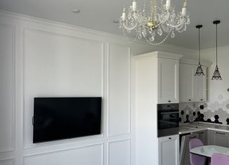 Аренда 2-комнатной квартиры, 50 м2, Челябинск, улица 250-летия Челябинска, 44А, ЖК Ньютон