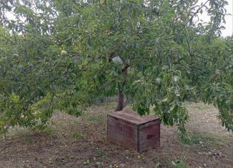 Продажа земельного участка, 5 сот., дачный массив Новозбурьевка, Центральный проезд