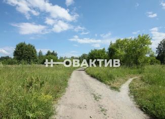 Продам дачу, 63 м2, село Плотниково, Луговая улица