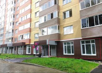 Помещение свободного назначения на продажу, 114 м2, Ногинск, Шибаевская улица, 1