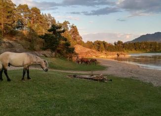 Сдам в аренду дом, 34 м2, село Турочак, улица Боляева, 35