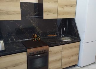 Аренда 1-комнатной квартиры, 40 м2, Республика Башкортостан, проспект Дружбы Народов, 59/1