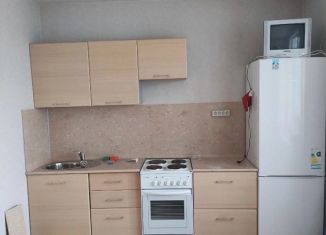 Сдаю 1-комнатную квартиру, 43 м2, Пермь, Холмогорская улица, 2В, ЖК Авиатор