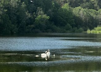 Продаю участок, 12 сот., деревня Раздолье, Колхозная улица, 17