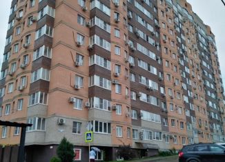 Однокомнатная квартира в аренду, 42 м2, Горячий Ключ, ЖК Аристократ, улица Бабушкина, 36