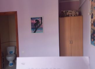 Сдам в аренду дом, 500 м2, село Малореченское, Подгорная улица, 16Б