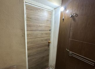 Сдача в аренду квартиры студии, 18 м2, село Весёлое, улица Мира, 2