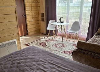 Сдам дом, 20 м2, село Кош-Агач, Новочуйская улица, 64/2