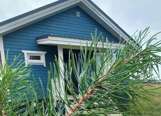 Продам дом, 90 м2, деревня Подшивалово, улица Лушникова