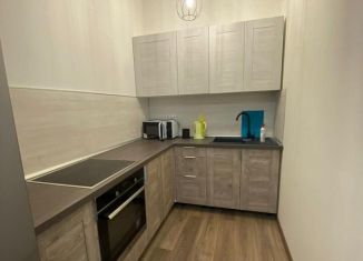 Сдаю в аренду 1-комнатную квартиру, 38 м2, Мурино, Ручьёвский проспект, 13