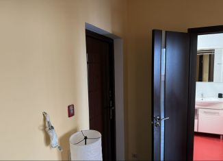 Сдача в аренду 1-комнатной квартиры, 42.5 м2, Балашиха, ЖК 1 Мая, микрорайон 1 Мая, 26