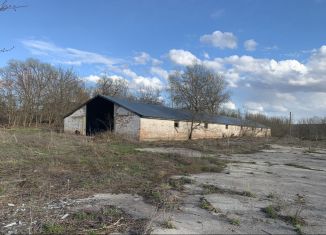 Складское помещение в аренду, 600 м2, Тульская область, улица А. Скуратова, 27