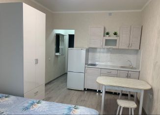 Сдаю в аренду квартиру студию, 25 м2, Котельники, Кузьминская улица, 5к1, ЖК Котельнические Высотки