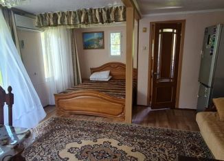 Сдам дом, 25 м2, Сочи, микрорайон Новая Мацеста, улица Фурманова, 6/1