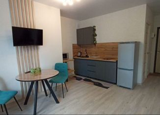 Сдаю в аренду квартиру студию, 29 м2, Удмуртия, Красная улица, 118к1