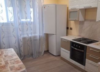 1-комнатная квартира в аренду, 40 м2, Воронеж, улица Перевёрткина, 1/1, ЖК Дельфин