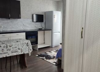 Квартира в аренду студия, 35 м2, Казань, улица Архитектора Гайнутдинова, 26, ЖК Грин