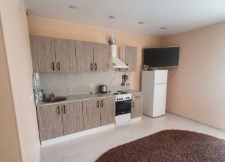 Сдаю в аренду квартиру студию, 35 м2, Тюмень, улица Монтажников, 59, ЖК Видный