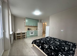 Продажа квартиры студии, 25.3 м2, Мурино, улица Шувалова, 18/8, ЖК Территория