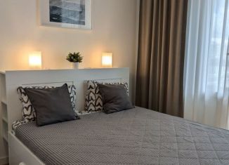 Аренда квартиры студии, 26 м2, Мурино, Привокзальная площадь, 3к2, ЖК Эланд