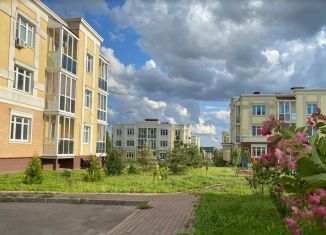 Продажа квартиры студии, 17.3 м2, деревня Ивановское, улица Николинские Ключи, 34