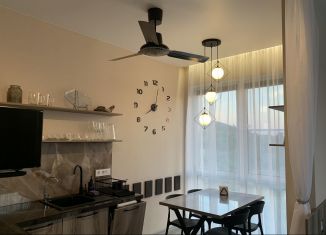 Сдача в аренду дома, 30 м2, село Сукко, Можжевеловая улица, 1Б/3