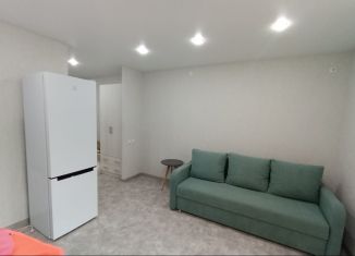 Сдам в аренду квартиру студию, 25 м2, Татарстан, Вторая Ударная улица, 6