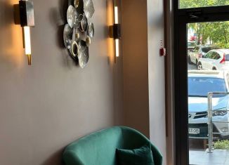 Продается квартира студия, 25 м2, Сочи, микрорайон Мамайка, улица Плеханова, 42Б