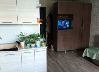 Продается квартира студия, 28 м2, Чебаркуль, улица Карпенко, 2