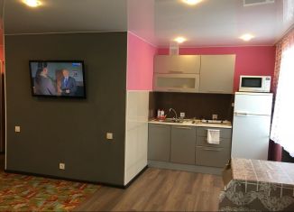 Квартира в аренду студия, 30 м2, Мончегорск, Комсомольская улица, 42/7