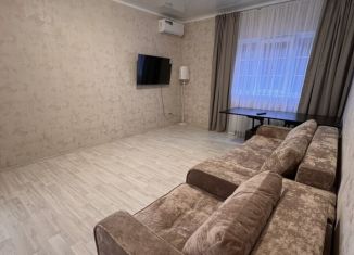 Сдается в аренду 1-ком. квартира, 40 м2, Ростов-на-Дону, Петровская улица, 102