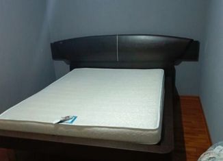 Сдается в аренду двухкомнатная квартира, 36 м2, Сочи, улица Чебрикова, 46, микрорайон Ареда