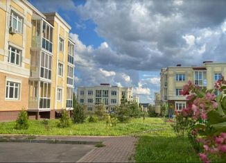 Продажа квартиры студии, 17.6 м2, деревня Ивановское, улица Николинские Ключи, 34