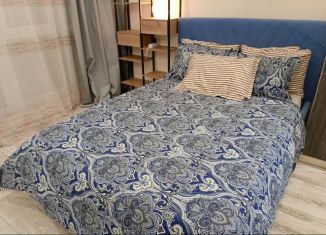 Сдаю в аренду квартиру студию, 61.4 м2, Сочи, Виноградная улица, 19, микрорайон Новый Сочи