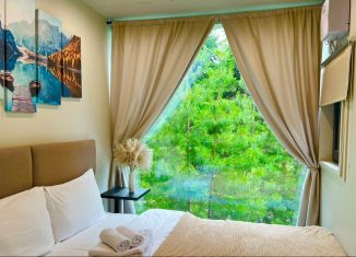 Сдаю в аренду дом, 29 м2, село Артыбаш, Телецкая улица, 100