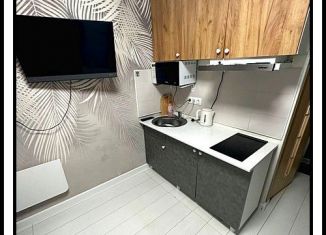 Продается квартира студия, 13.4 м2, деревня Ивановское, улица Николинские Ключи, 38