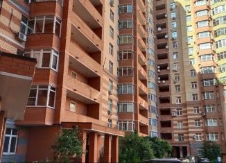 Аренда 3-комнатной квартиры, 105 м2, Мытищи, улица Сукромка, 5, ЖК Былина