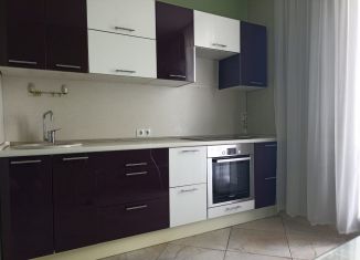 Аренда 1-комнатной квартиры, 38 м2, Санкт-Петербург, проспект Энгельса, 132к1, метро Проспект Просвещения