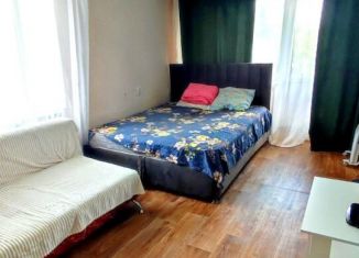 Сдаю в аренду квартиру студию, 31.5 м2, Серов, улица Железнодорожников