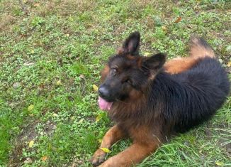 Продаю дачу, 30 м2, Ставропольский край