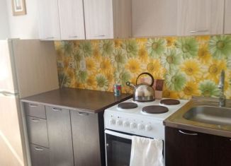 Сдаю в аренду 1-комнатную квартиру, 40 м2, Екатеринбург, Утренний переулок, 7, ЖК Авиатор